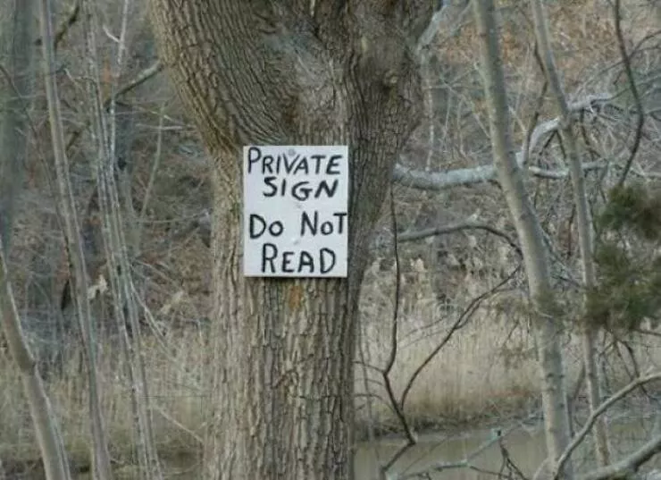Rebels without borders anarchists who defy all rules - #11 