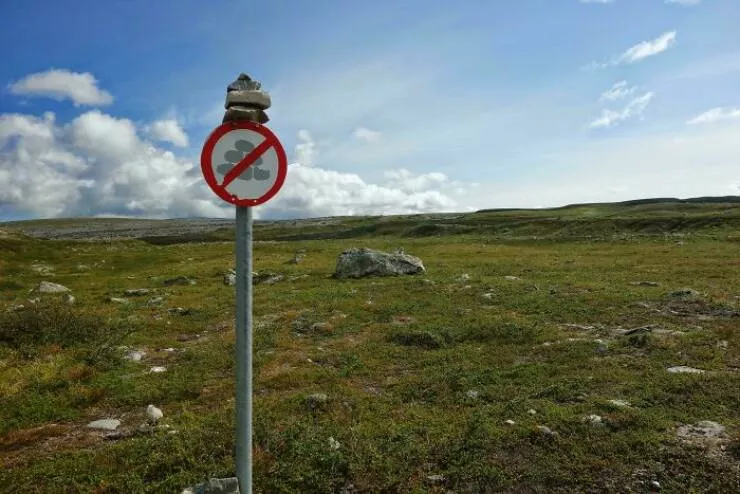 Rebels without borders anarchists who defy all rules - #13 