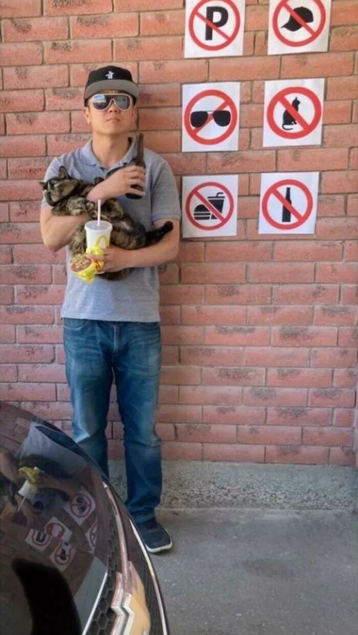 Rebels without borders anarchists who defy all rules - #2 
