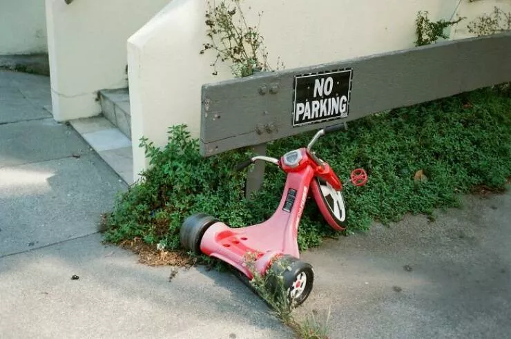 Rebels without borders anarchists who defy all rules - #5 