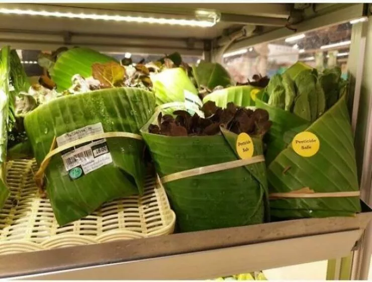 Savory and ingenious food hacks everyones raving about - #1 Some grocers are now using banana leaves as an eco-friendly alternative to plastic packaging