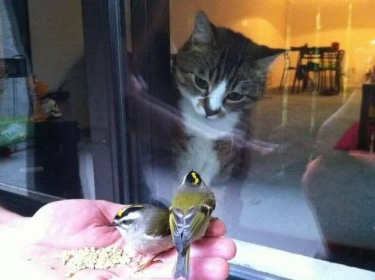 Picdump 914 - #13 