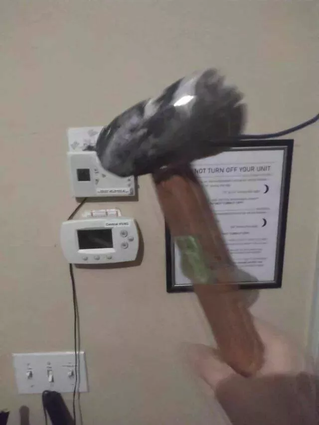 Picdump 914 - #33 