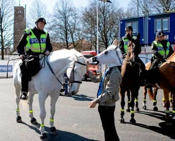 Picdump 914 - #42 