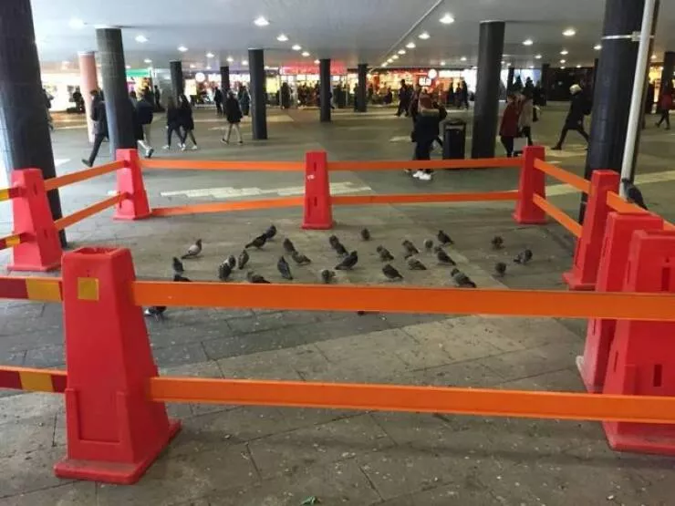 Picdump 914 - #5 