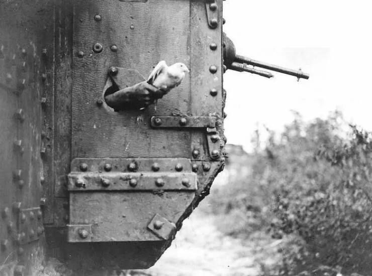 Mesmerizing historical photos that transport you to the past - #7 