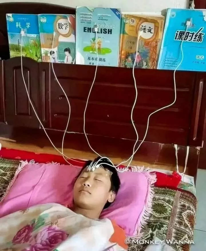 Picdump 915 - #30 