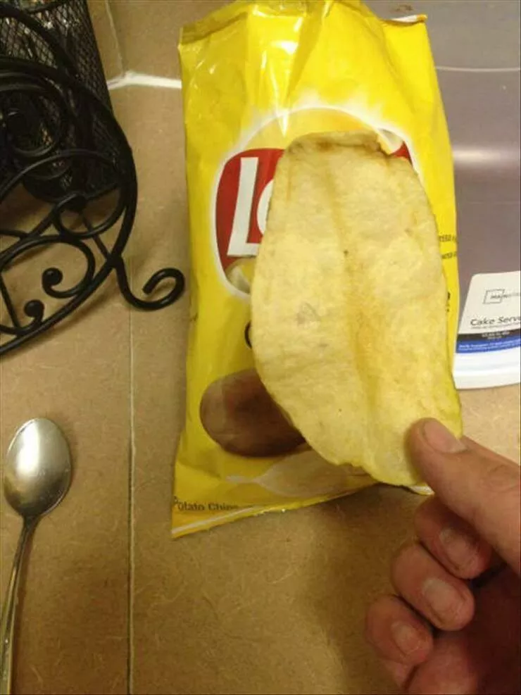 Picdump 915