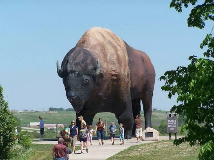 Stunning photos of enormous objects that will amaze you - #13 