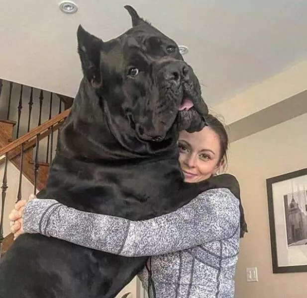 Stunning photos of enormous objects that will amaze you - #27 