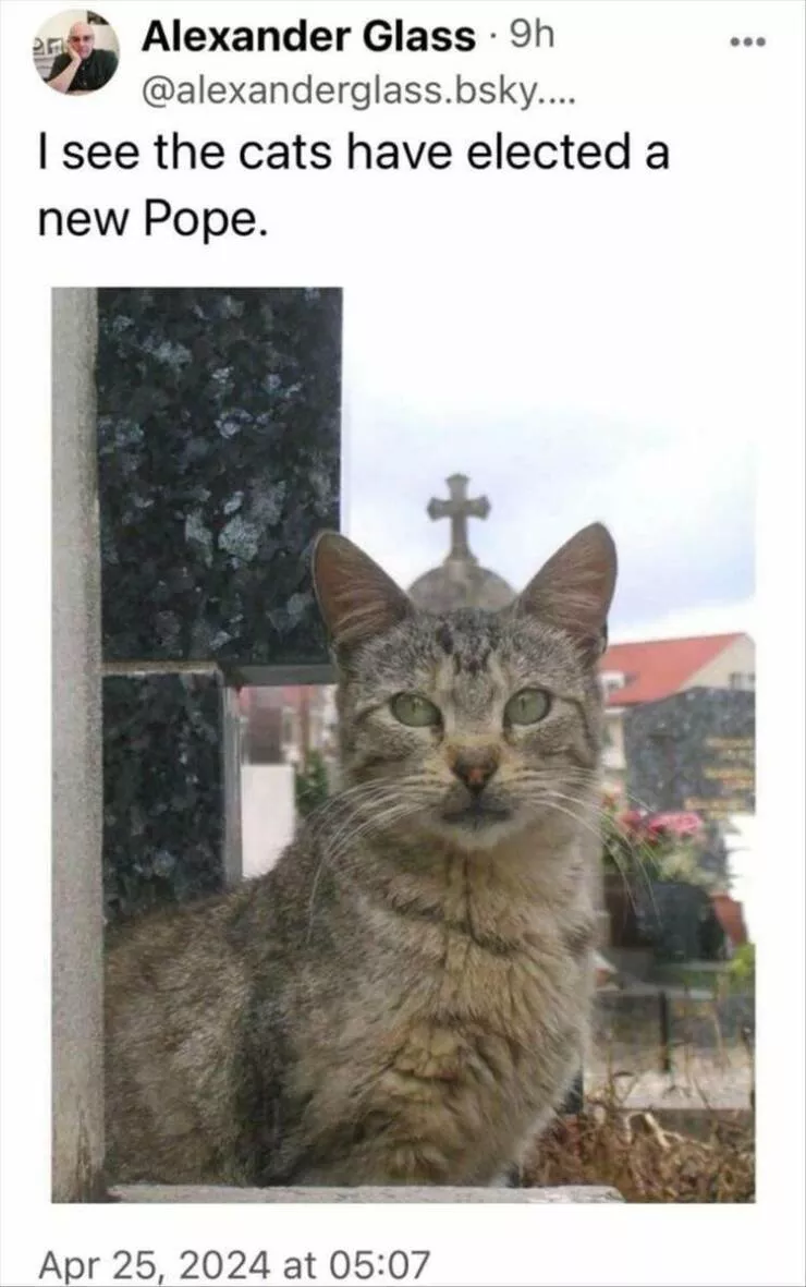 Picdump 916 - #4 