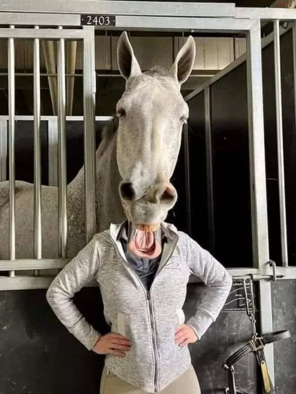 Mind bending photos that will make you double take