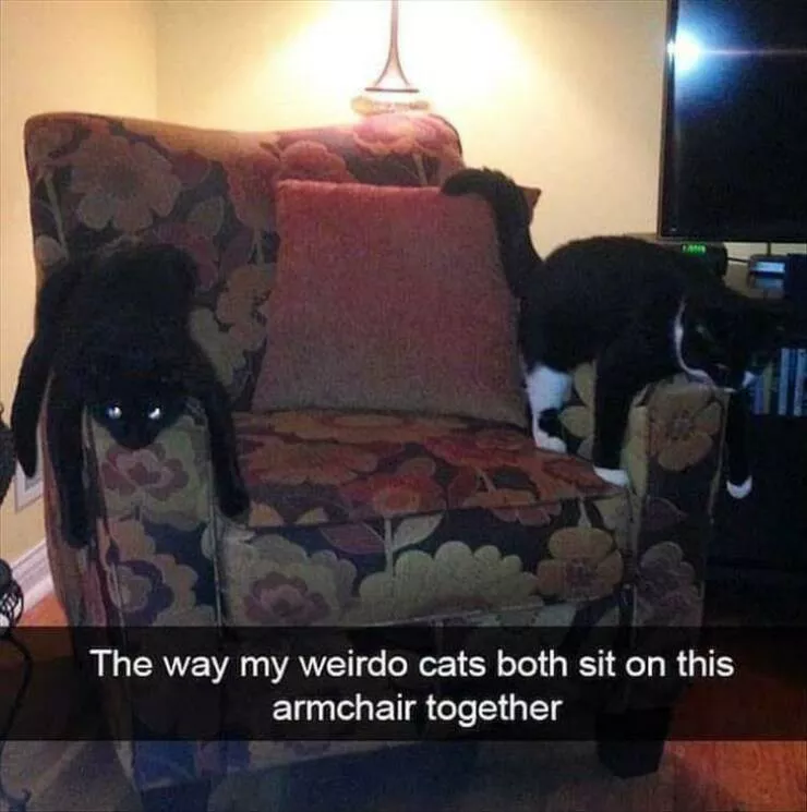 Picdump 917 - #2 