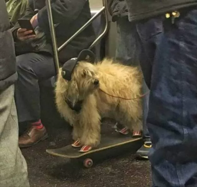 Picdump 918 - #31 