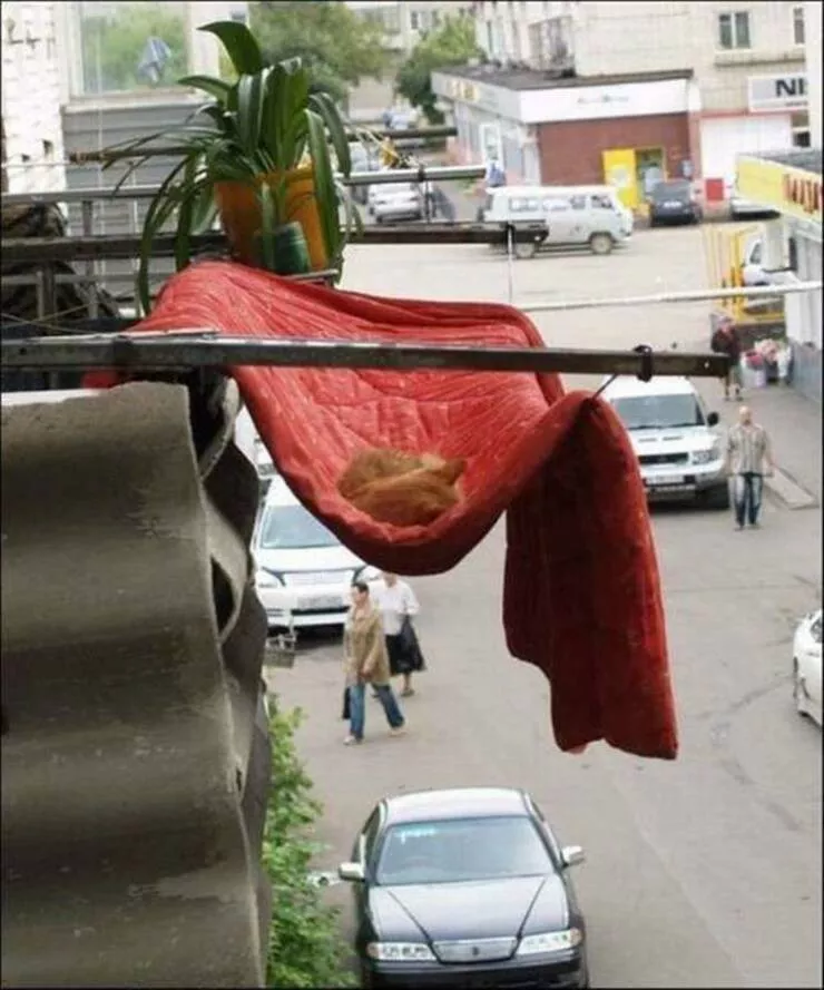 Picdump 918 - #33 