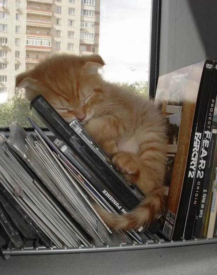 Picdump 918 - #47 