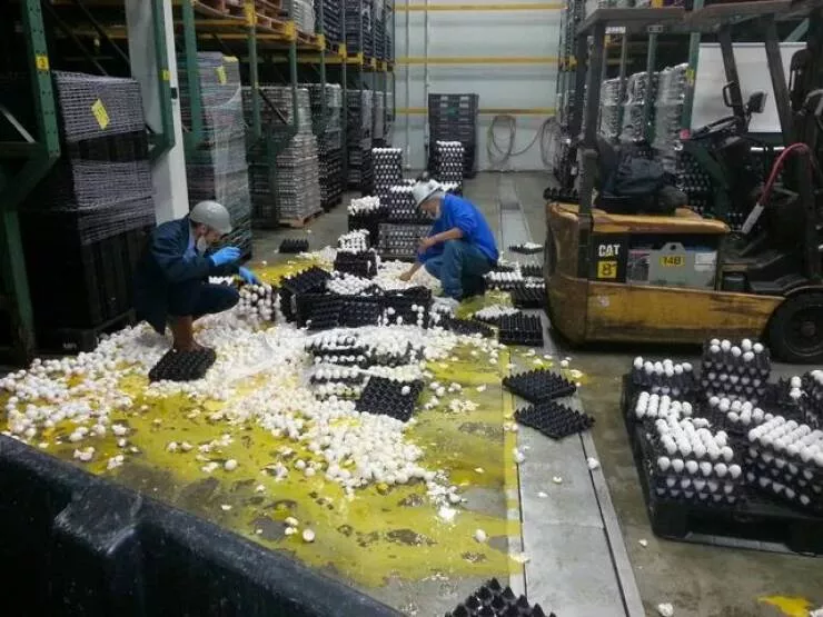 Picdump 919 - #1 