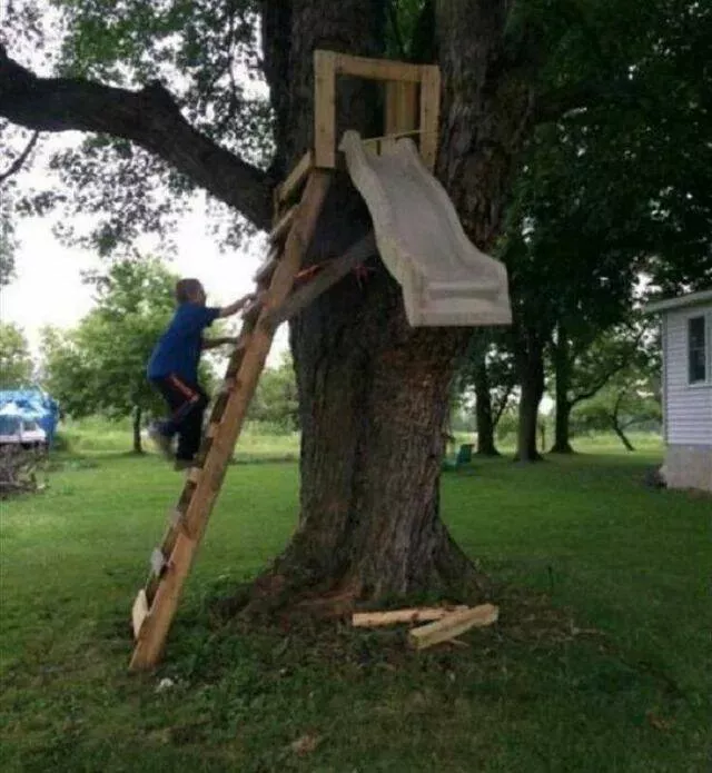 Picdump 919 - #15 