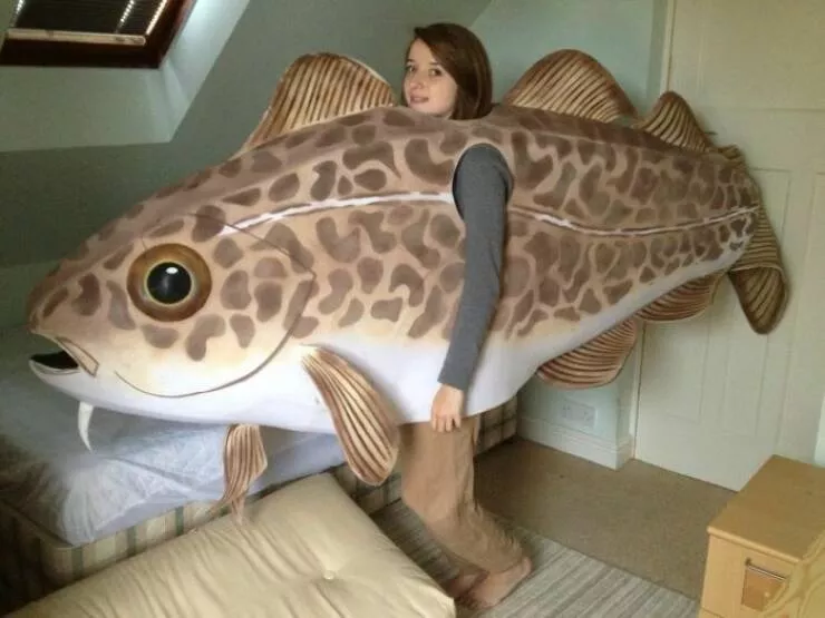 Picdump 919 - #24 