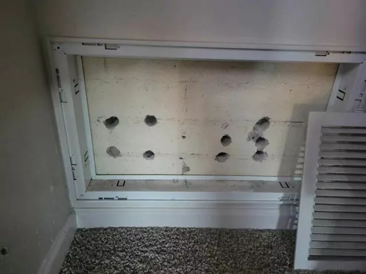 Picdump 919 - #32 