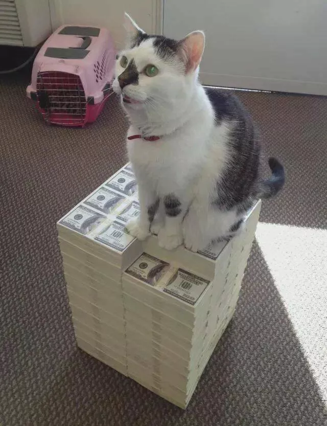 Picdump 920 - #11 