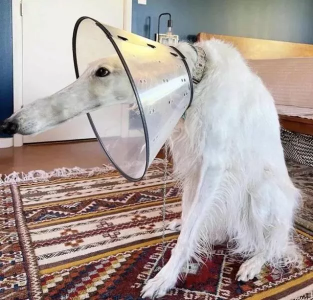 Picdump 920 - #31 