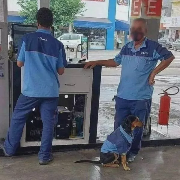 Picdump 920 - #33 