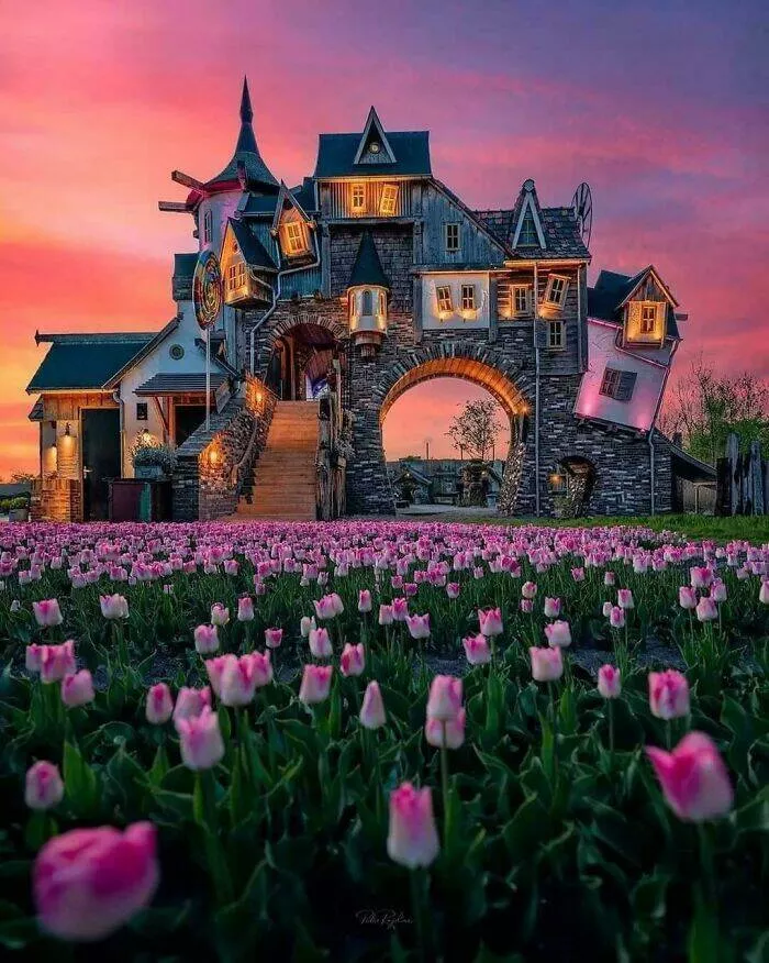 Unusual and bizarre buildings from around the globe - #2 Netherlands Beauty
