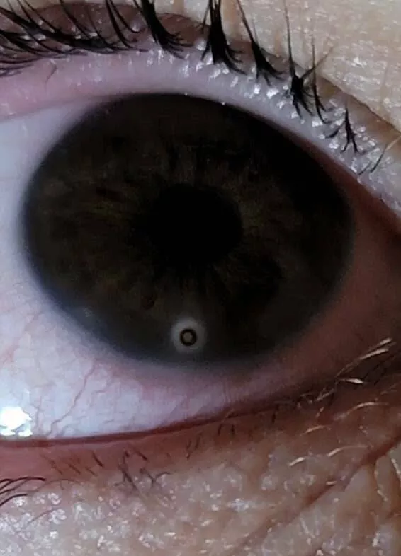 Chilling photos that will haunt your dreams Chilling photos that will haunt your dreams