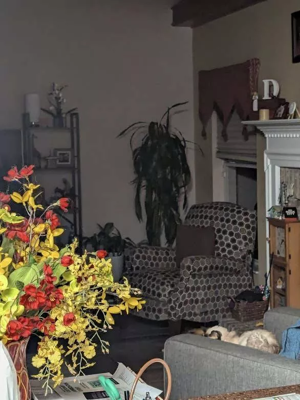 Chilling photos that will haunt your dreams - #5 Human-like Plant - A plant that seems to be attempting to grow into a human shape. Chilling photos that will haunt your dreams - #5 Human-like Plant - A plant that seems to be attempting to grow into a human shape.