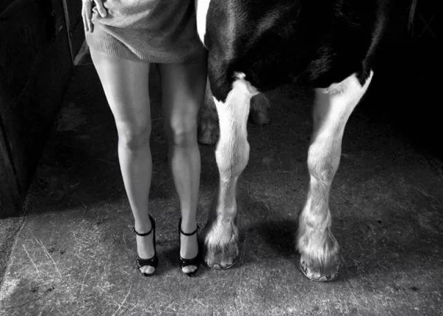 The best pictures ever taken - #15 
