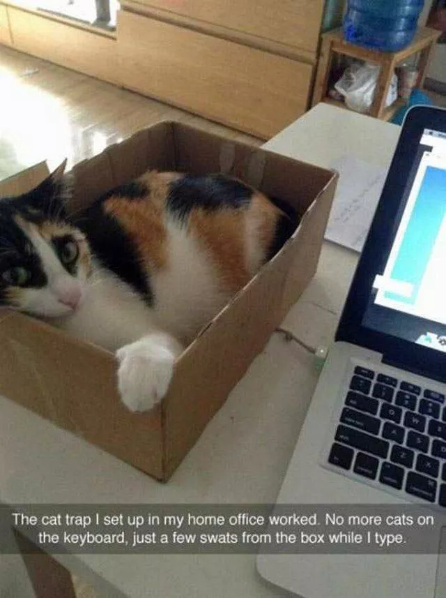The best pictures ever taken - #18 