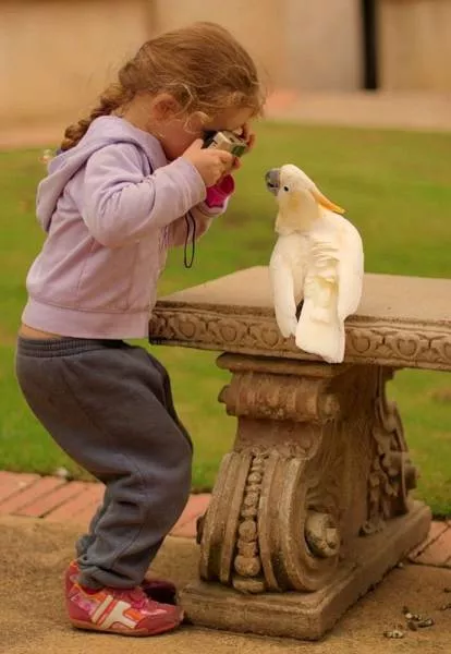 The best pictures ever taken - #19 