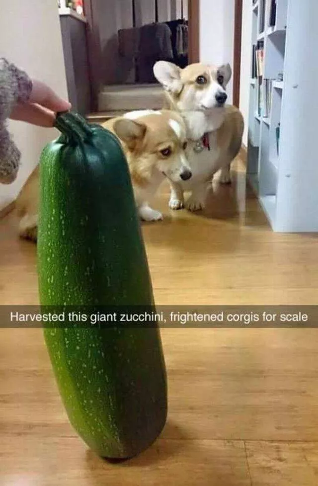 The best pictures ever taken - #22 