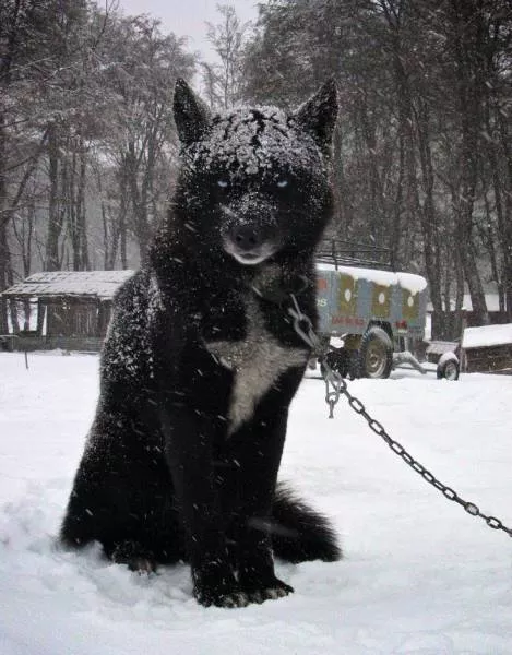 The best pictures ever taken - #24 
