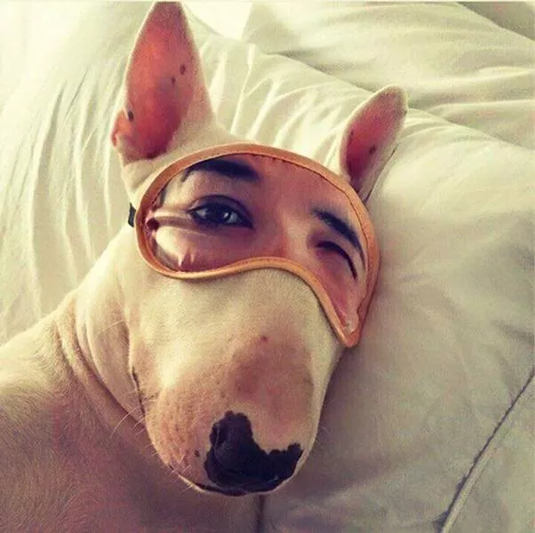 The best pictures ever taken - #33 
