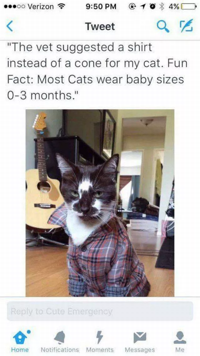 The best pictures ever taken - #35 