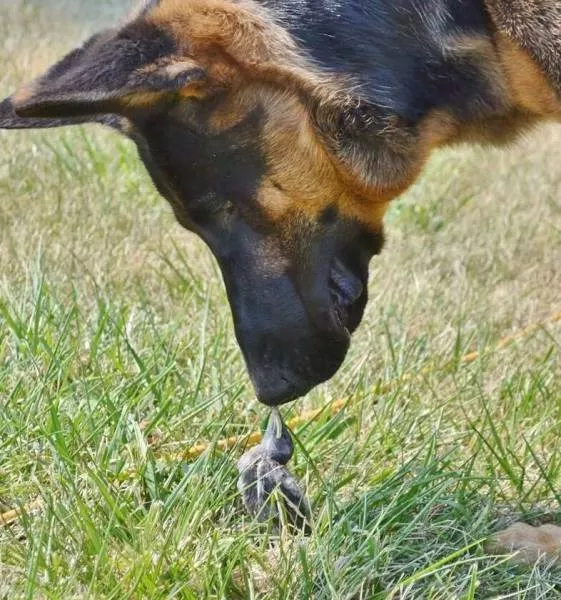 The best pictures ever taken - #36 