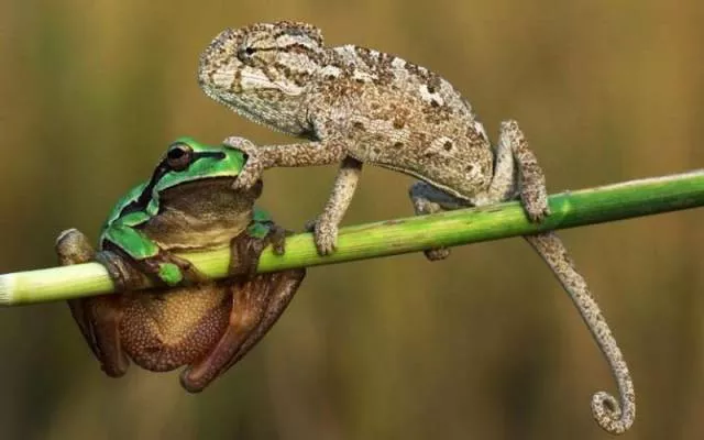 The best pictures ever taken - #37 