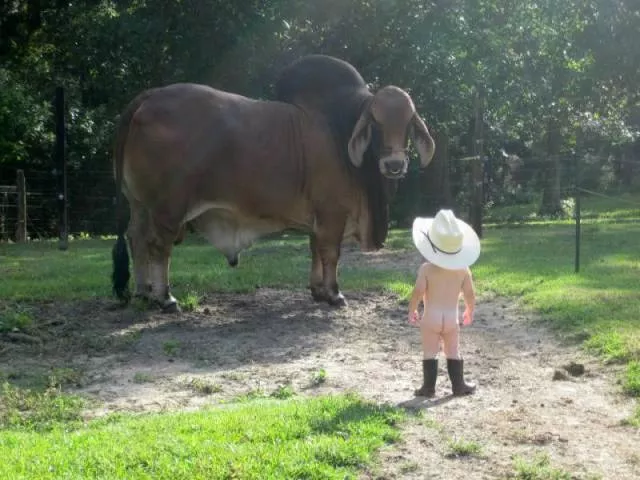 The best pictures ever taken - #4 