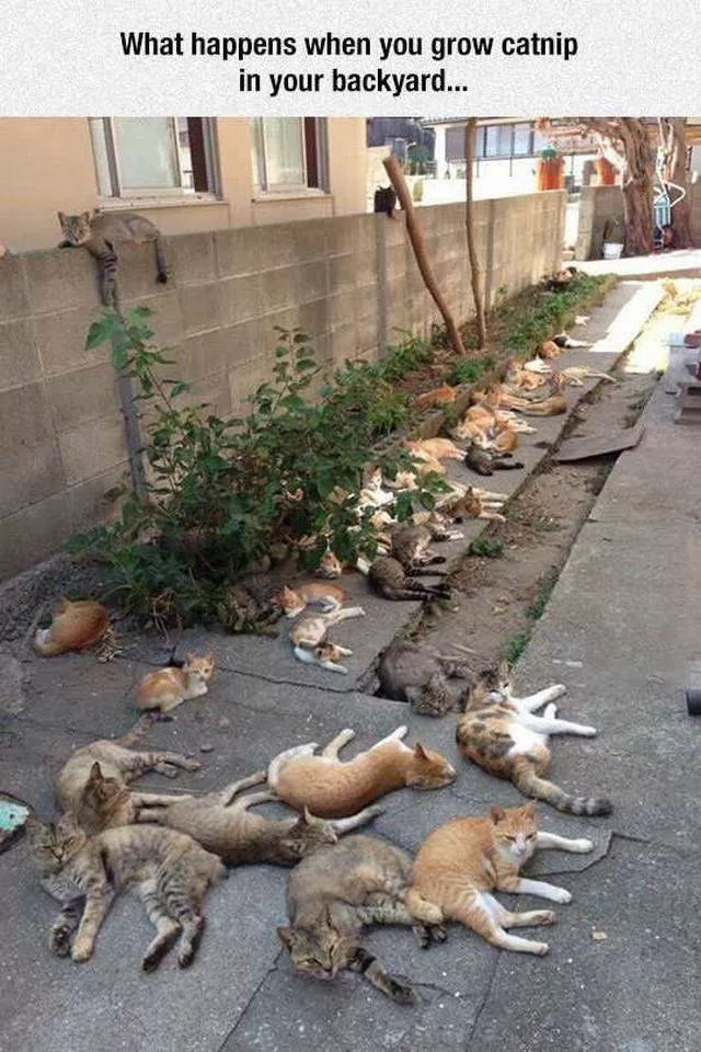 The best pictures ever taken - #45 