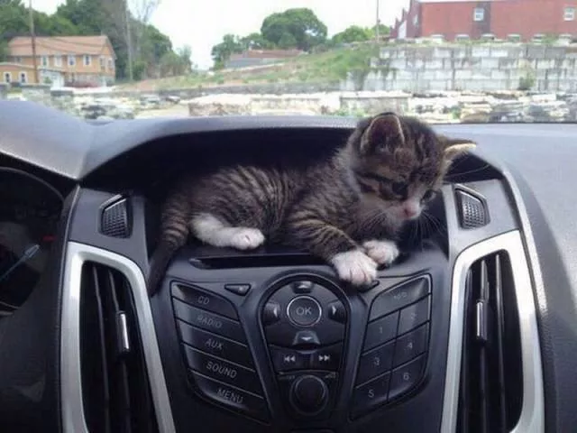 The best pictures ever taken - #48 
