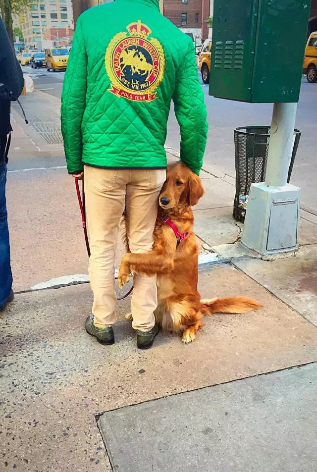The best pictures ever taken - #61 