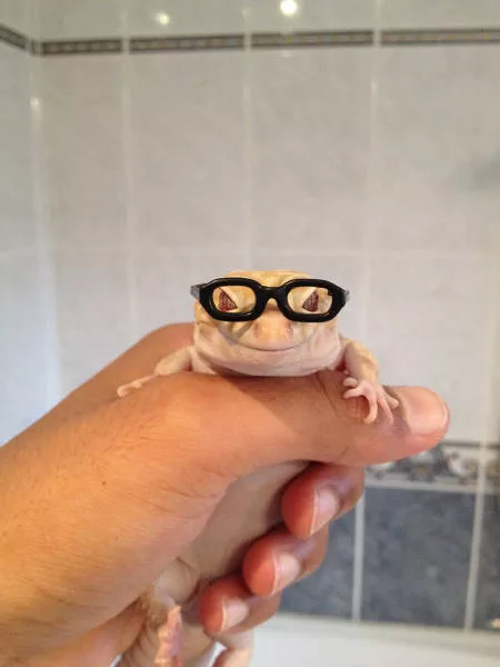 The best pictures ever taken - #66 