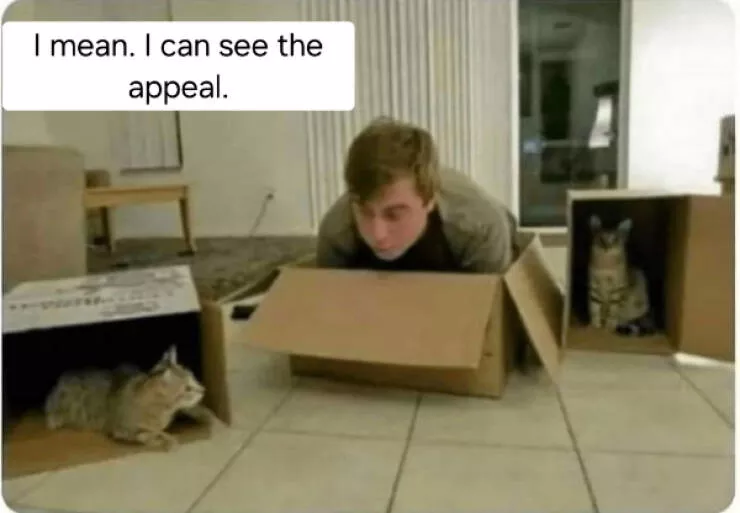 Try not to laugh challenge yourself or face the consequences - #12 