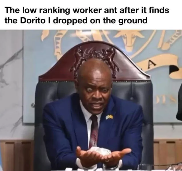 Try not to laugh challenge yourself or face the consequences - #14 