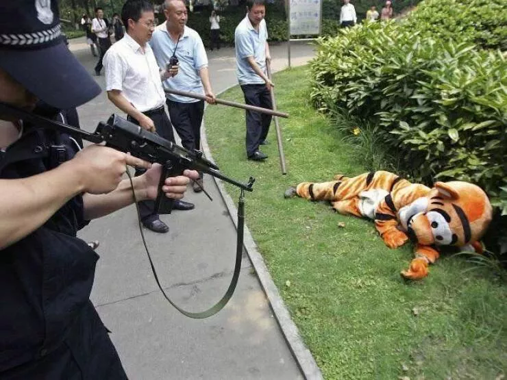 Picdump 922 - #42 