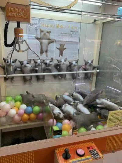 Picdump 922 - #49 