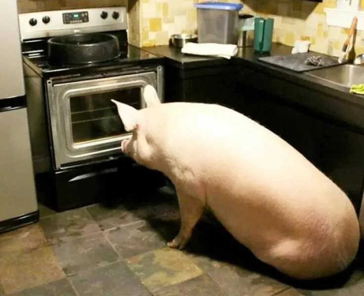 Picdump 922 - #59 