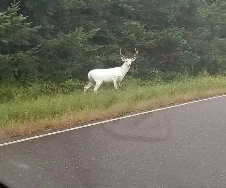 Picdump 922 - #6 